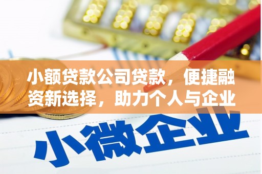 麦寮小额贷款公司贷款，便捷融资新选择，助力个人与企业成长