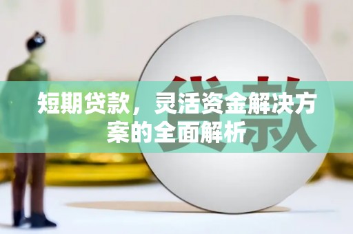 麦寮短期贷款，灵活资金解决方案的全面解析