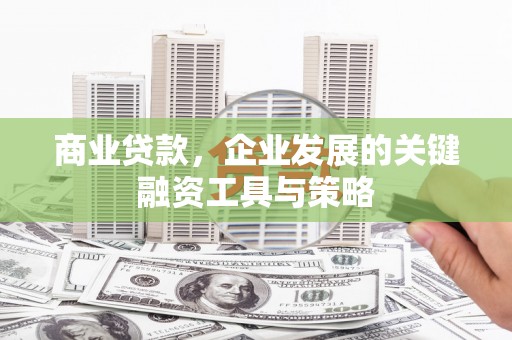 麦寮商业贷款，企业发展的关键融资工具与策略