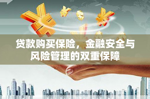 麦寮贷款购买保险，金融安全与风险管理的双重保障