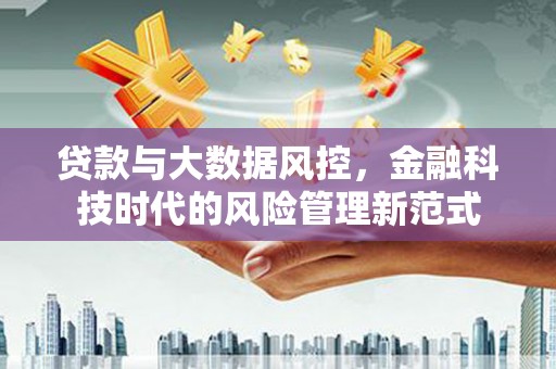 麦寮贷款与大数据风控，金融科技时代的风险管理新范式