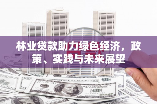 麦寮林业贷款助力绿色经济，政策、实践与未来展望