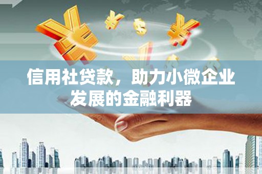 麦寮信用社贷款，助力小微企业发展的金融利器