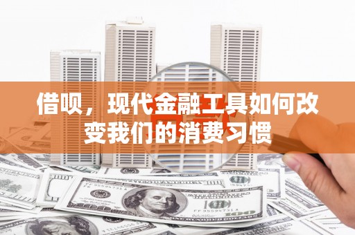 麦寮借呗，现代金融工具如何改变我们的消费习惯