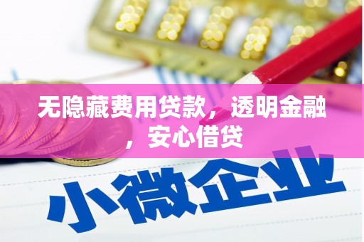 麦寮无隐藏费用贷款，透明金融，安心借贷