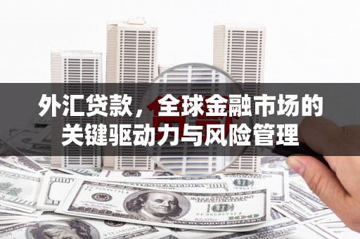 麦寮外汇贷款，全球金融市场的关键驱动力与风险管理