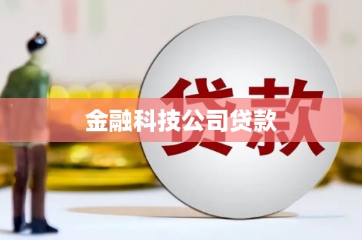 麦寮金融科技公司贷款