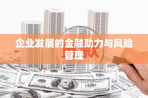 麦寮企业发展的金融助力与风险管理