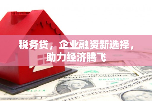 麦寮税务贷，企业融资新选择，助力经济腾飞