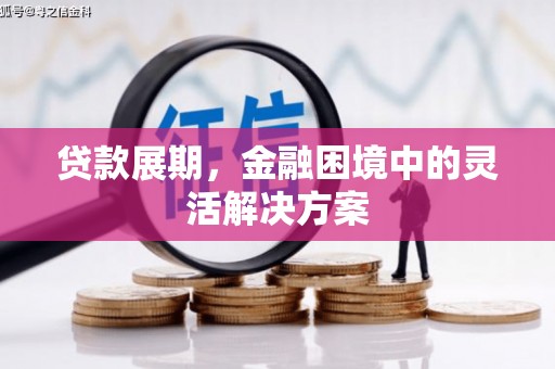 麦寮贷款展期，金融困境中的灵活解决方案