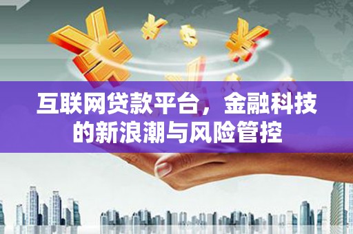 麦寮互联网贷款平台，金融科技的新浪潮与风险管控