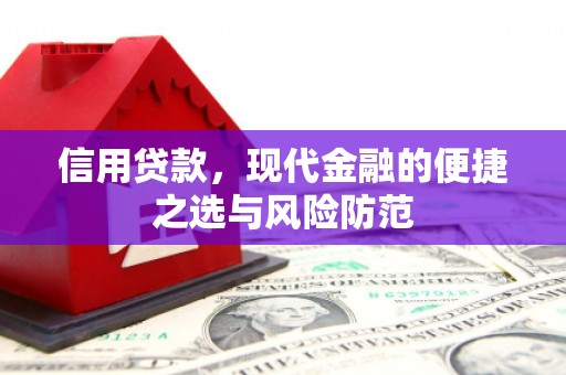 麦寮信用贷款，现代金融的便捷之选与风险防范