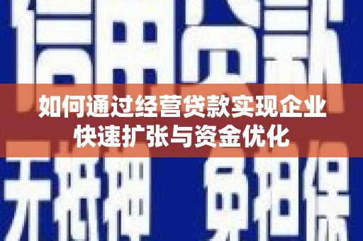 麦寮如何通过经营贷款实现企业快速扩张与资金优化