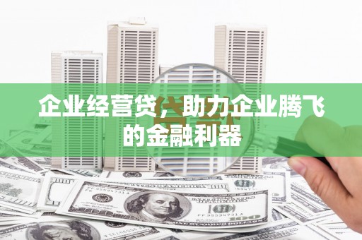 麦寮企业经营贷，助力企业腾飞的金融利器