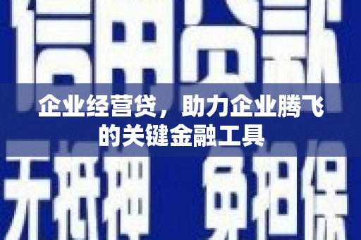 麦寮企业经营贷，助力企业腾飞的关键金融工具