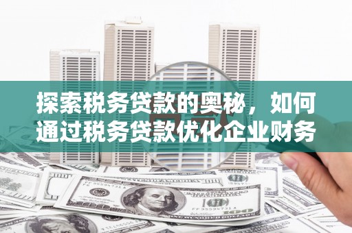 麦寮探索税务贷款的奥秘，如何通过税务贷款优化企业财务