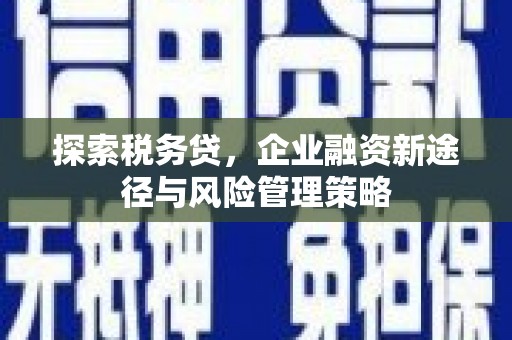 麦寮探索税务贷，企业融资新途径与风险管理策略