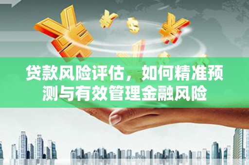 麦寮贷款风险评估，如何精准预测与有效管理金融风险