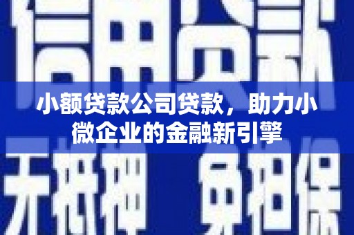 麦寮小额贷款公司贷款，助力小微企业的金融新引擎