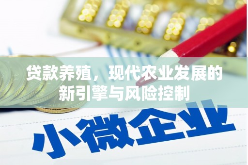 麦寮贷款养殖，现代农业发展的新引擎与风险控制