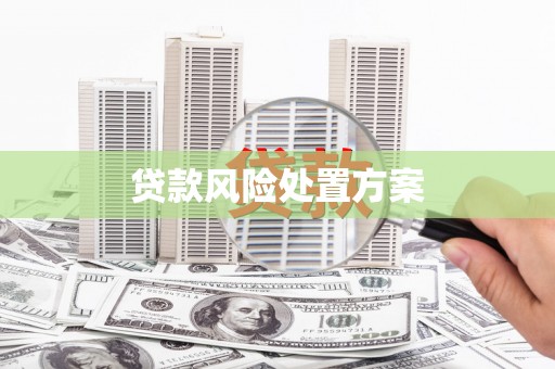 麦寮贷款风险处置方案