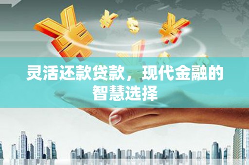 麦寮灵活还款贷款，现代金融的智慧选择
