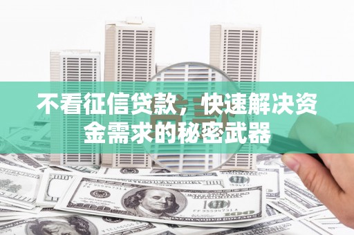 麦寮不看征信贷款，快速解决资金需求的秘密武器