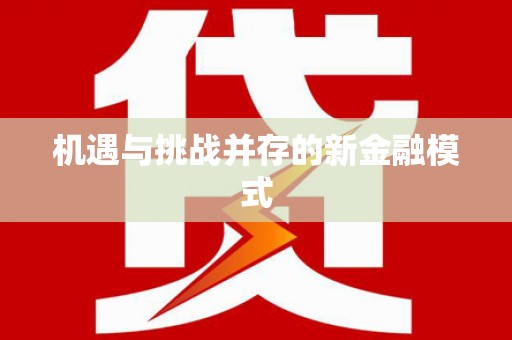 麦寮机遇与挑战并存的新金融模式