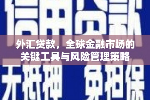 麦寮外汇贷款，全球金融市场的关键工具与风险管理策略