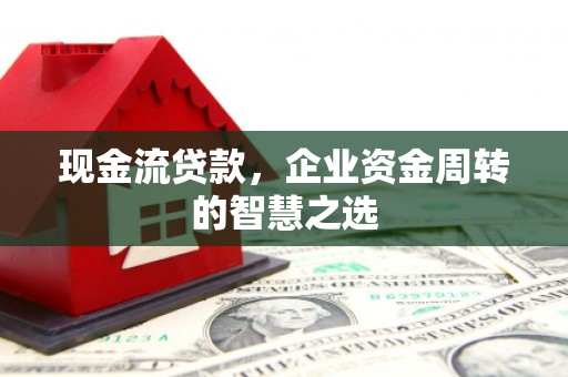 麦寮现金流贷款，企业资金周转的智慧之选