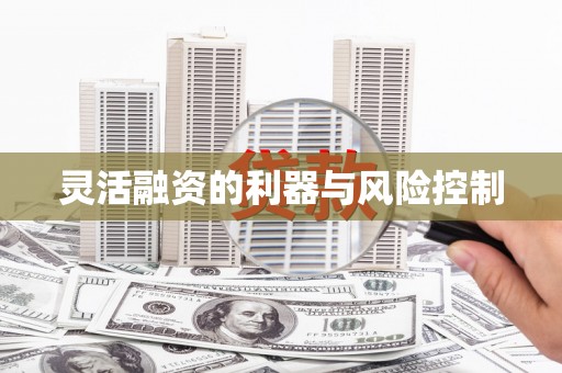 麦寮灵活融资的利器与风险控制