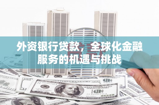麦寮外资银行贷款，全球化金融服务的机遇与挑战