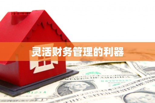 麦寮灵活财务管理的利器