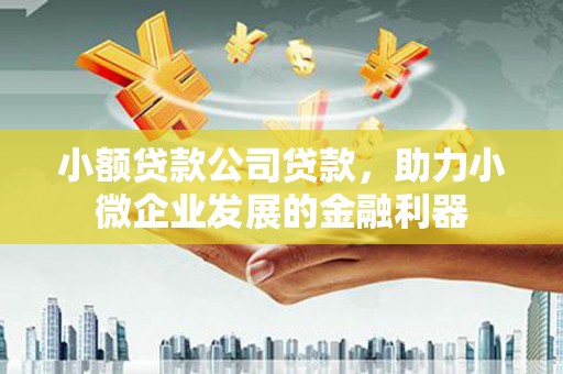 麦寮小额贷款公司贷款，助力小微企业发展的金融利器