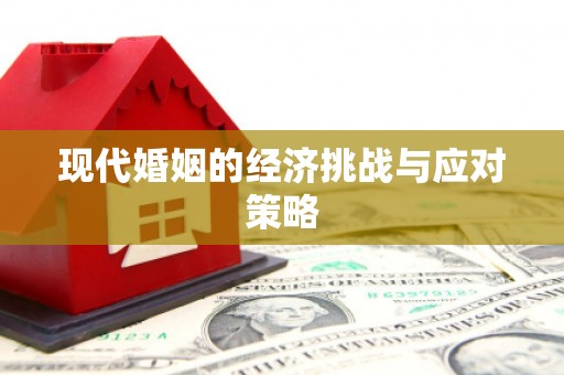 麦寮现代婚姻的经济挑战与应对策略