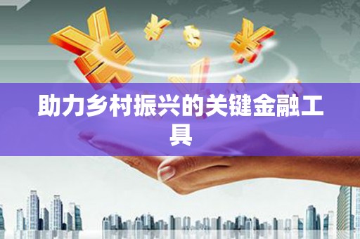 麦寮助力乡村振兴的关键金融工具