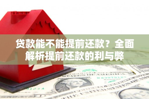 麦寮贷款能不能提前还款？全面解析提前还款的利与弊