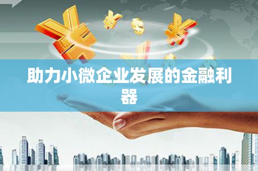 麦寮助力小微企业发展的金融利器