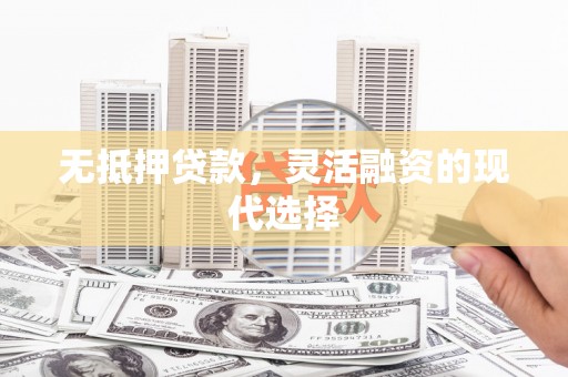 麦寮无抵押贷款，灵活融资的现代选择