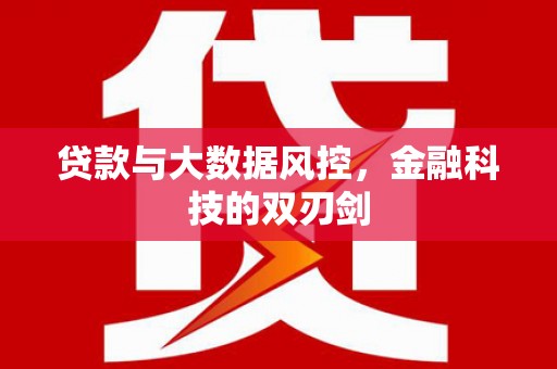 麦寮贷款与大数据风控，金融科技的双刃剑
