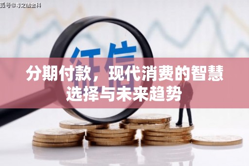 麦寮分期付款，现代消费的智慧选择与未来趋势