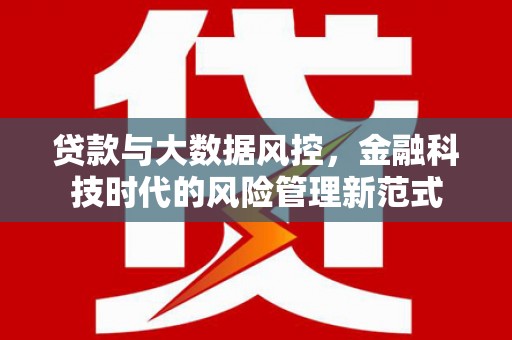 麦寮贷款与大数据风控，金融科技时代的风险管理新范式