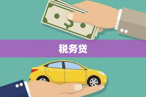 麦寮税务贷