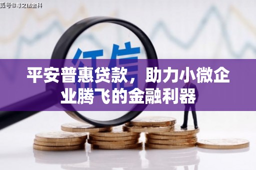 麦寮平安普惠贷款，助力小微企业腾飞的金融利器