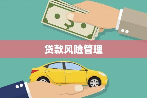 麦寮贷款风险管理