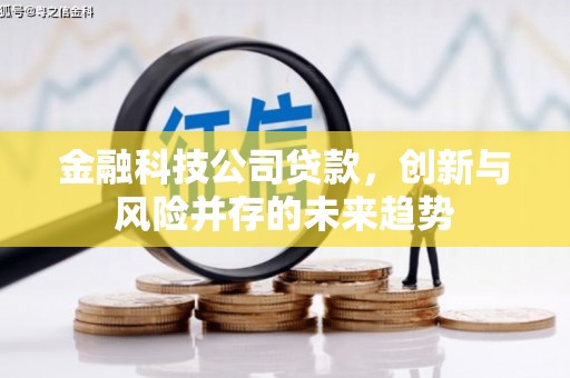 麦寮金融科技公司贷款，创新与风险并存的未来趋势