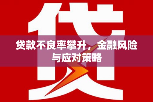 麦寮贷款不良率攀升，金融风险与应对策略
