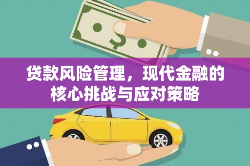 麦寮贷款风险管理，现代金融的核心挑战与应对策略