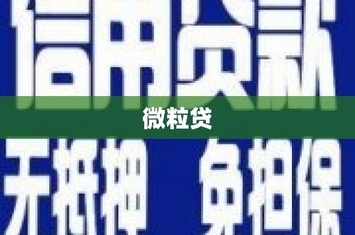 麦寮微粒贷