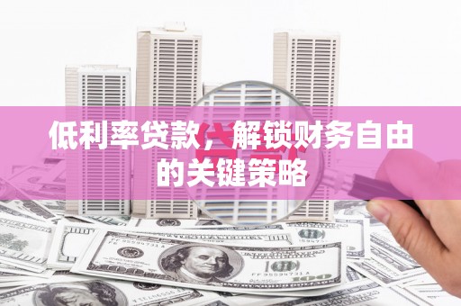 麦寮低利率贷款，解锁财务自由的关键策略